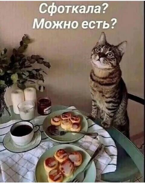 https://upforme.ru/uploads/001c/90/82/5/t658733.jpg