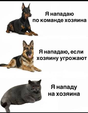 https://upforme.ru/uploads/001c/90/82/5/t716594.jpg