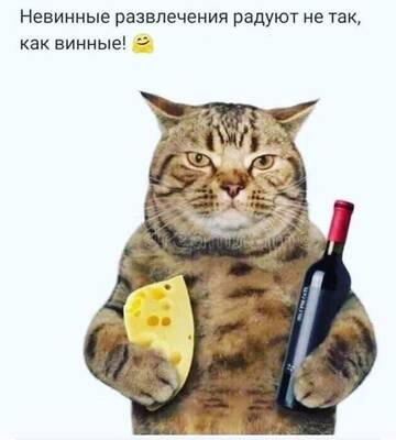 https://upforme.ru/uploads/001c/90/82/5/t79905.jpg