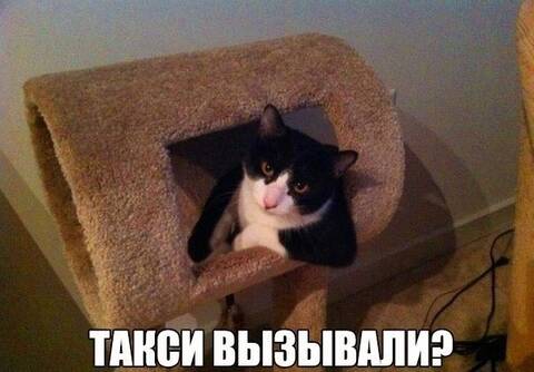 https://upforme.ru/uploads/001c/90/82/5/t816960.jpg