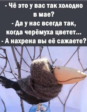 https://upforme.ru/uploads/001c/90/82/5/t918772.jpg