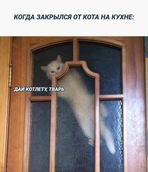 https://upforme.ru/uploads/001c/90/82/5/t922015.jpg