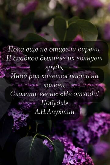 https://upforme.ru/uploads/001c/90/82/5/t944135.jpg