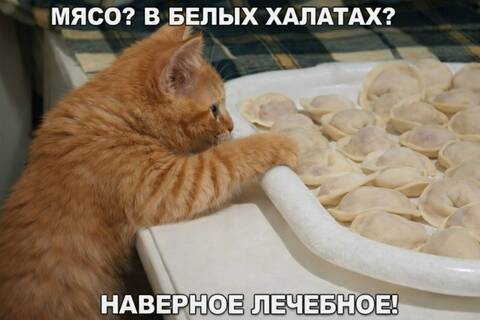 https://upforme.ru/uploads/001c/90/82/5/t944432.jpg