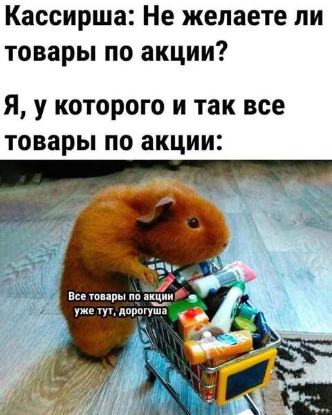 https://upforme.ru/uploads/001c/90/82/5/t967490.jpg