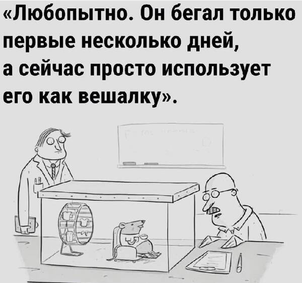 https://upforme.ru/uploads/001c/90/82/5/t986685.jpg