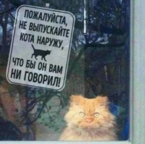 https://upforme.ru/uploads/001c/90/82/5/t990040.jpg