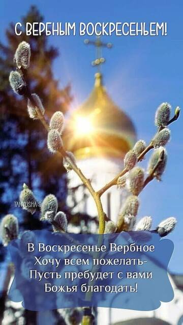https://upforme.ru/uploads/001c/92/49/5/t93836.jpg