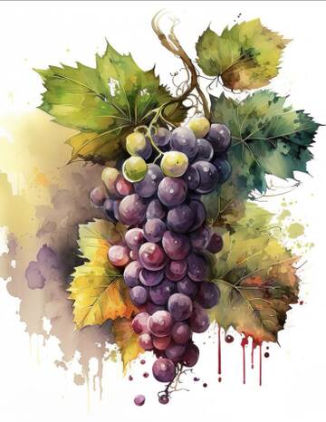 � ��� �����.. ��� ��� ���� ��������