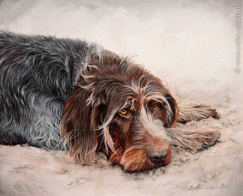 ������������� ���������