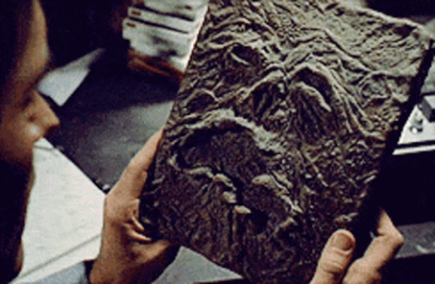 ��������������