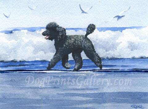 � ��� �����.. ��� ��� ���� ��������