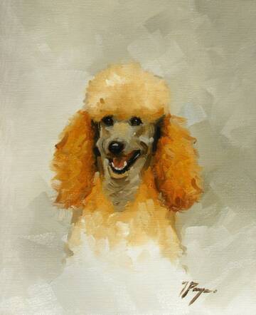 ������ ���� !