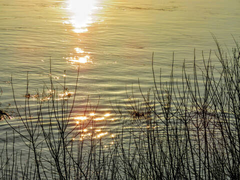 ����� ������� ������� (�)