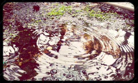 Поэзия идущих Поэзия идущих