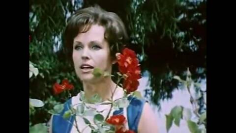 ���� .. ����