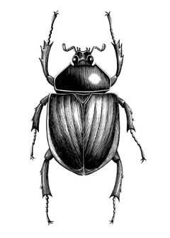 �������� ������