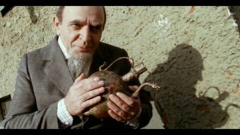 ��� ���������?