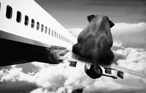 ������������� ���������