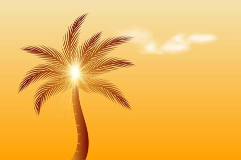 ����������� �����������