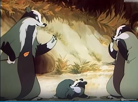 ������ ���� !