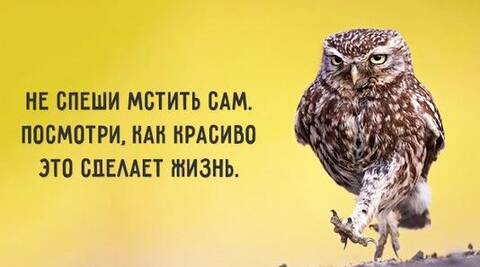 https://upforme.ru/uploads/001c/98/32/2/t473274.jpg