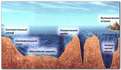 https://upforme.ru/uploads/001c/99/f4/3/695504.jpg