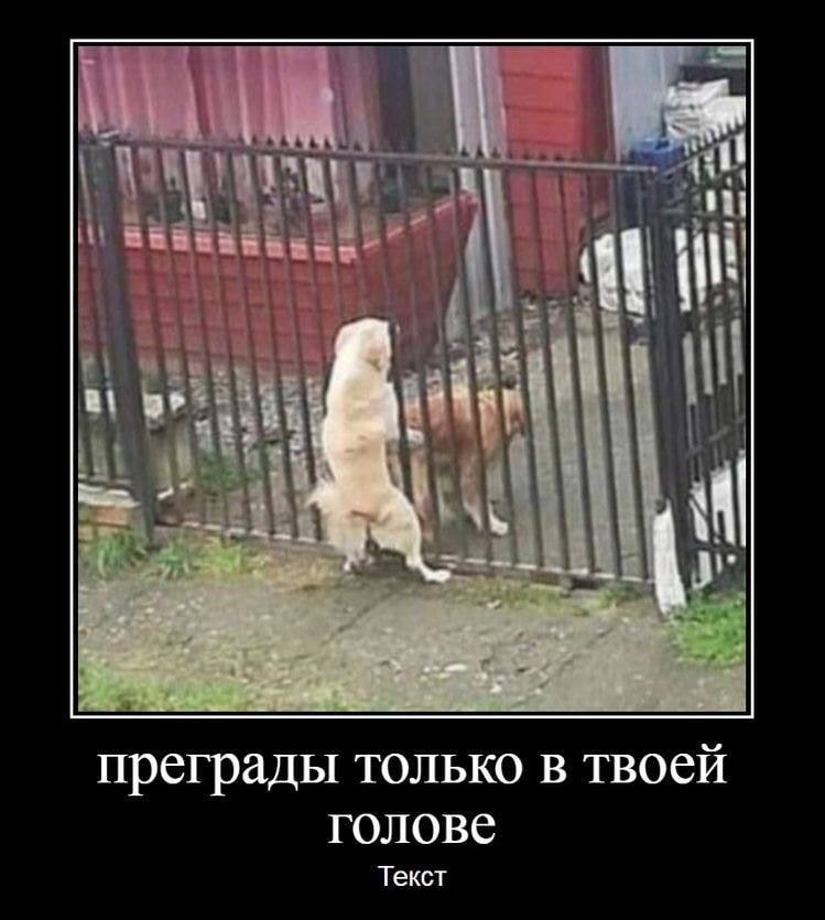 https://upforme.ru/uploads/001c/9a/71/121/402905.jpg