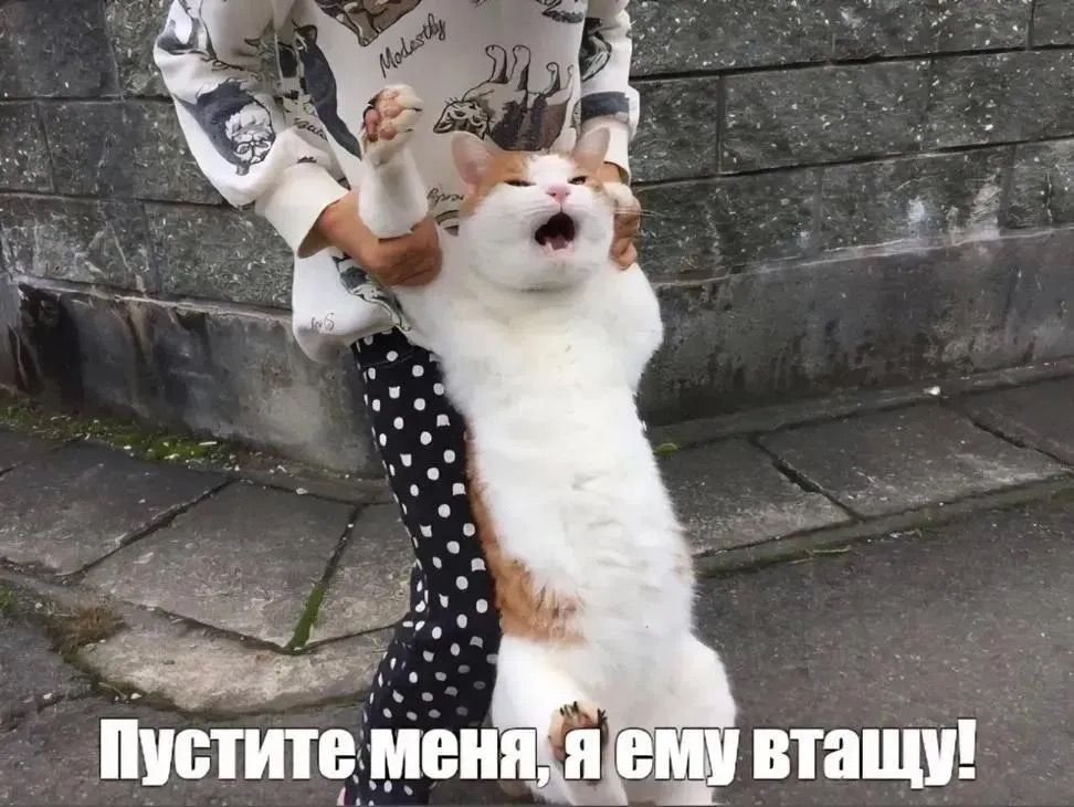 https://upforme.ru/uploads/001c/9a/71/121/488406.jpg