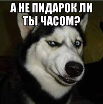 https://upforme.ru/uploads/001c/9b/a2/2/t510838.jpg
