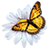 https://upforme.ru/uploads/001c/9d/fc/2/272997.png