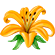 https://upforme.ru/uploads/001c/9d/fc/2/508227.png