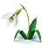 https://upforme.ru/uploads/001c/9d/fc/2/665716.png