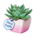 https://upforme.ru/uploads/001c/9d/fc/2/856734.png