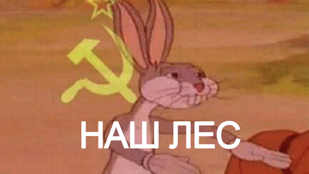 https://upforme.ru/uploads/001c/9e/22/8/742891.png