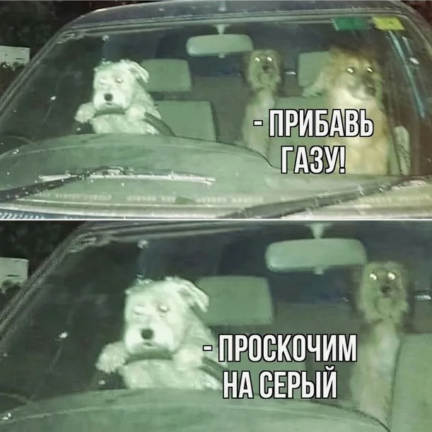 https://upforme.ru/uploads/001c/9f/08/2/994171.jpg