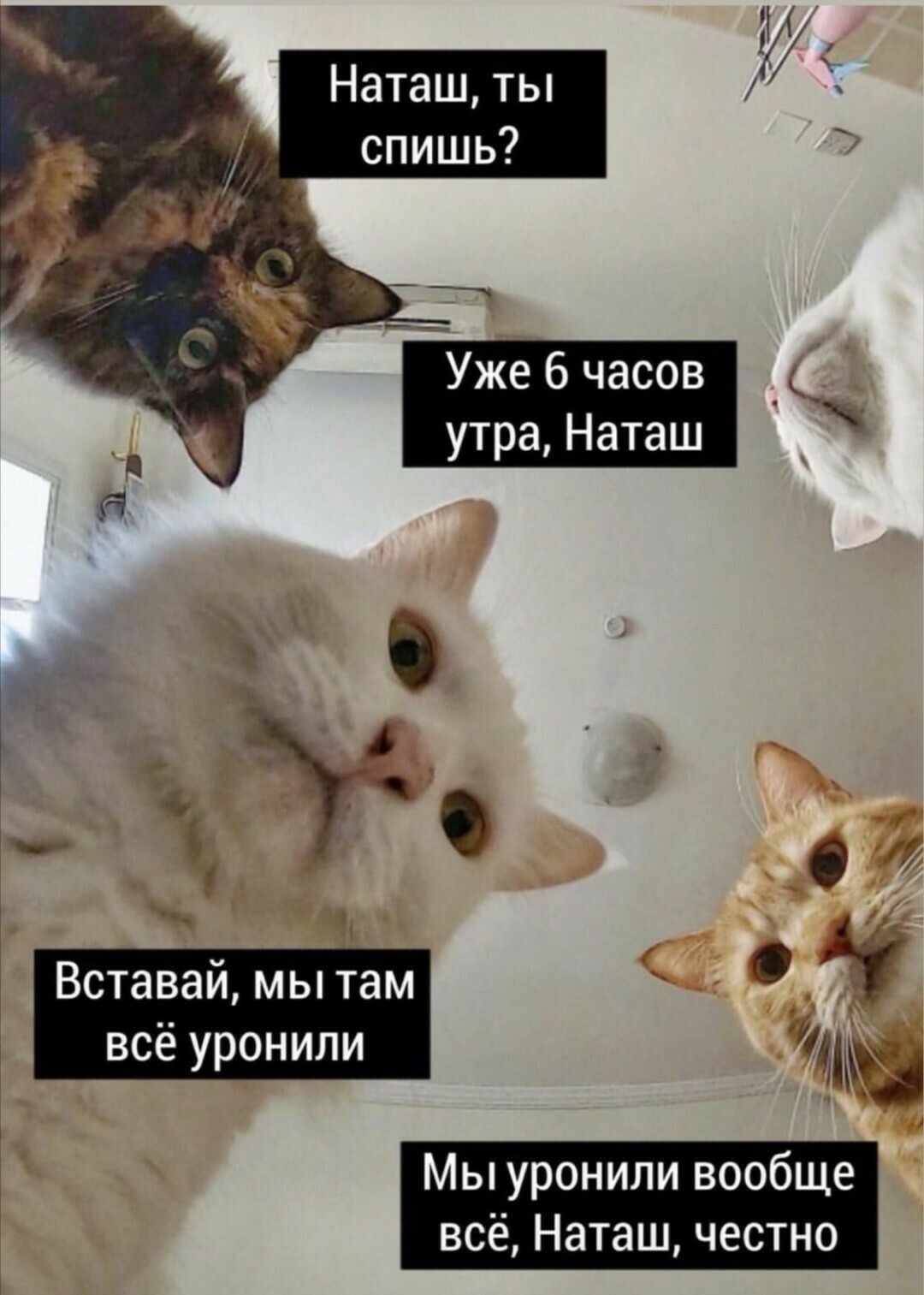 https://upforme.ru/uploads/001c/a1/b4/18/926821.jpg