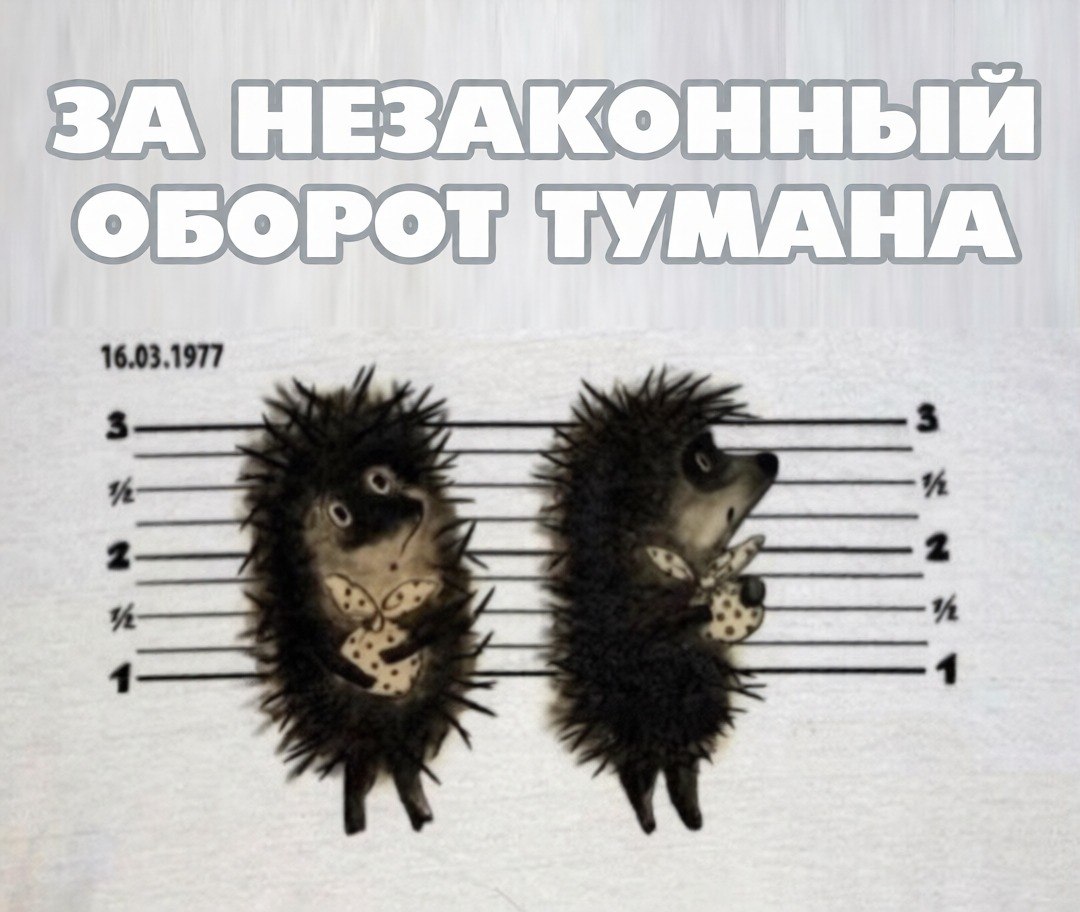 https://upforme.ru/uploads/001c/a1/b4/18/989971.jpg