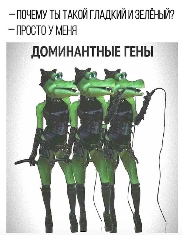 https://upforme.ru/uploads/001c/a1/b4/18/t389887.jpg