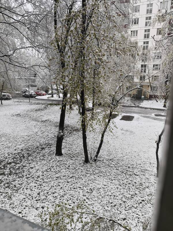 https://upforme.ru/uploads/001c/a1/b4/18/t725514.jpg