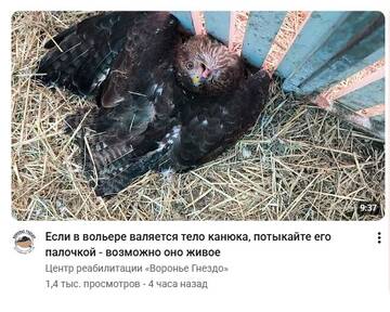 https://upforme.ru/uploads/001c/a1/b4/18/t768343.jpg