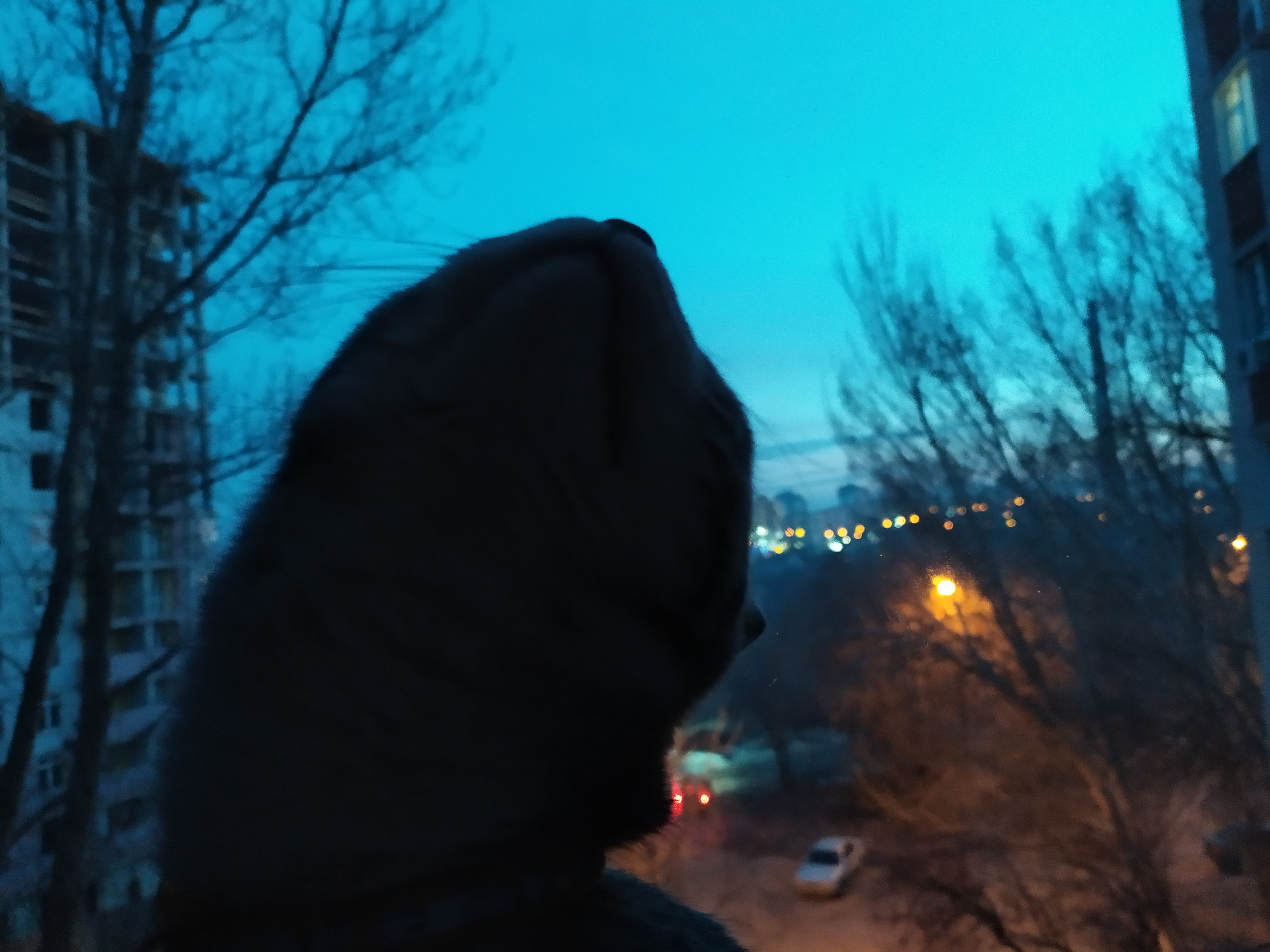 https://upforme.ru/uploads/001c/a1/b4/2/259550.jpg