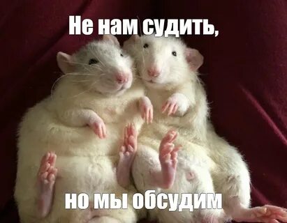 https://upforme.ru/uploads/001c/a1/b4/28/370273.jpg