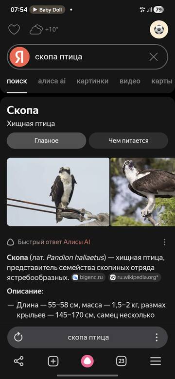 https://upforme.ru/uploads/001c/a1/b4/28/t615523.jpg