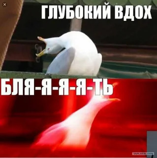 https://upforme.ru/uploads/001c/a1/b4/6/799429.jpg