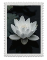 https://upforme.ru/uploads/001c/a2/2d/2/110633.png