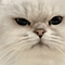 https://upforme.ru/uploads/001c/a2/2d/2/156597.gif