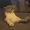 https://upforme.ru/uploads/001c/a2/2d/2/157111.gif