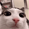 https://upforme.ru/uploads/001c/a2/2d/2/159709.gif