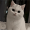 https://upforme.ru/uploads/001c/a2/2d/2/163154.gif